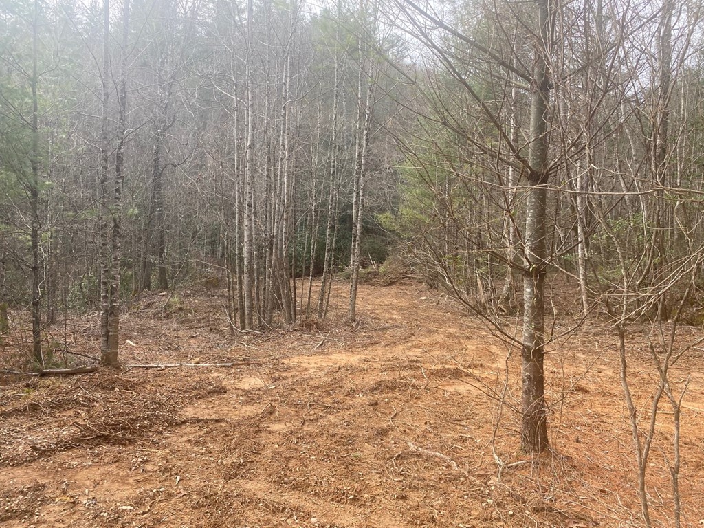 0 Flea Mountain Road Property Photo 26