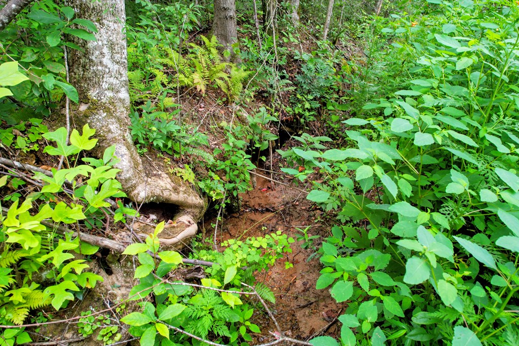 0 Flea Mountain Road Property Photo 29