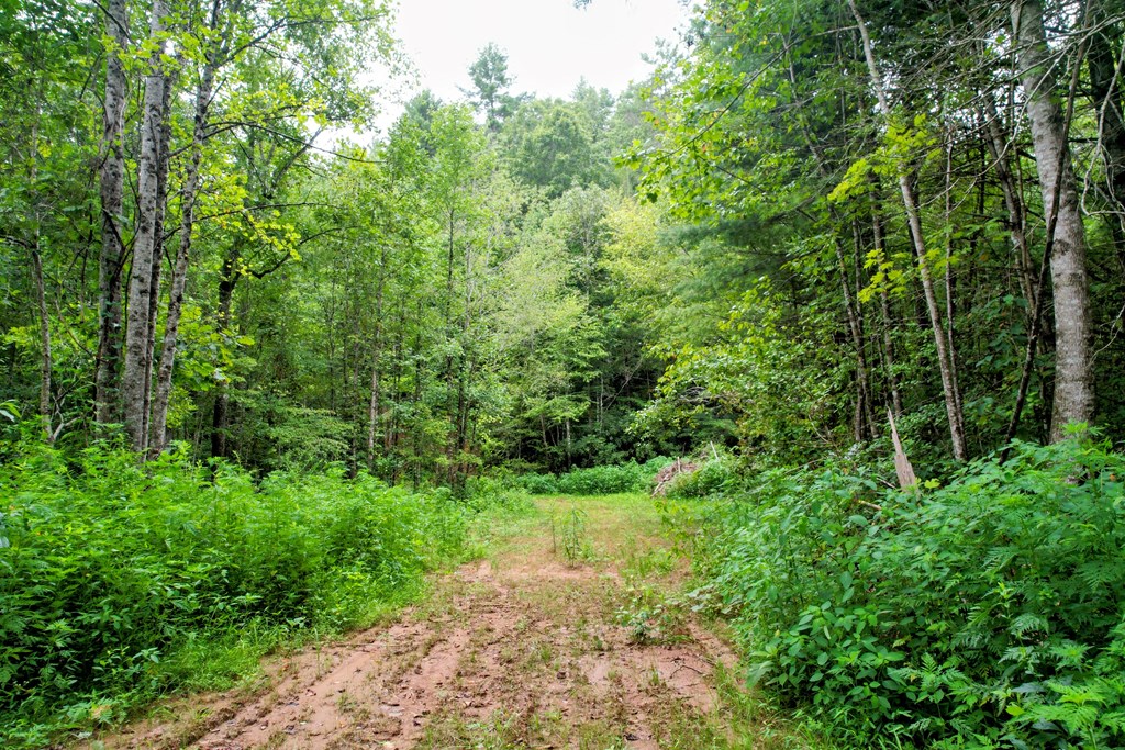 0 Flea Mountain Road Property Photo 30