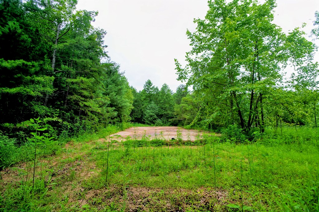 0 Flea Mountain Road Property Photo 31