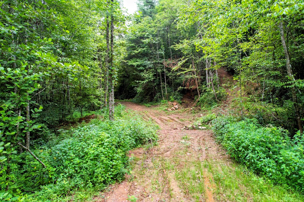 0 Flea Mountain Road Property Photo 32