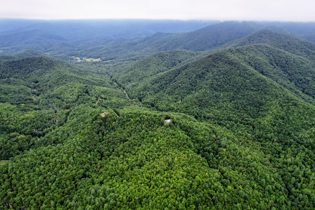 0 Flea Mountain Road Property Photo 35