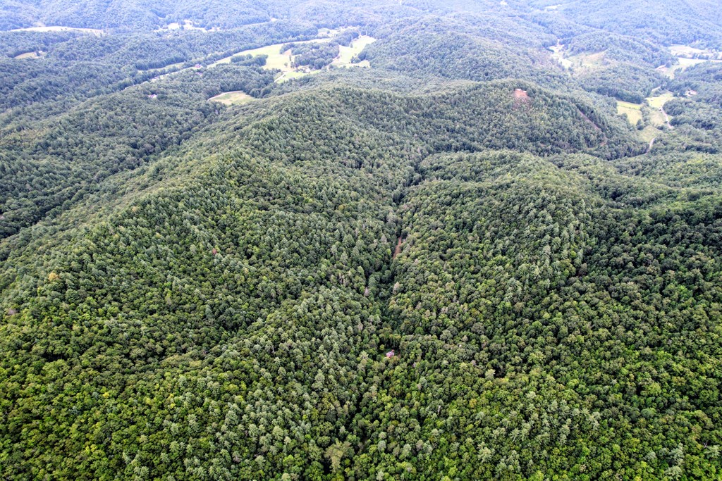0 Flea Mountain Road Property Photo 38