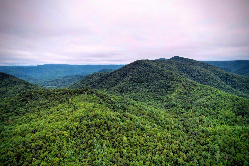 0 Flea Mountain Road Property Photo 39
