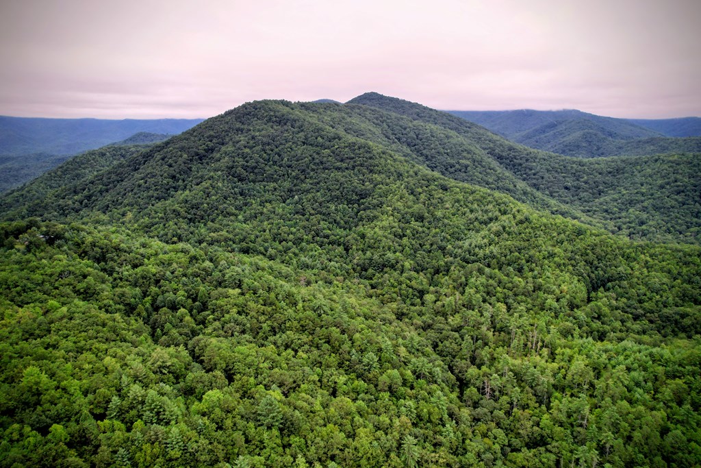 0 Flea Mountain Road Property Photo 40