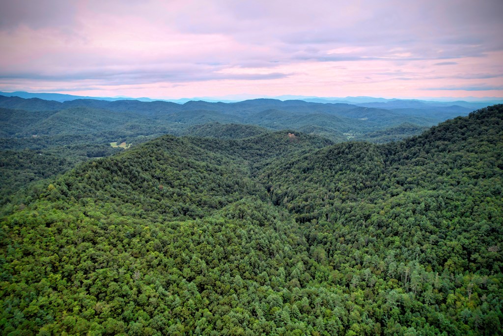 0 Flea Mountain Road Property Photo 41