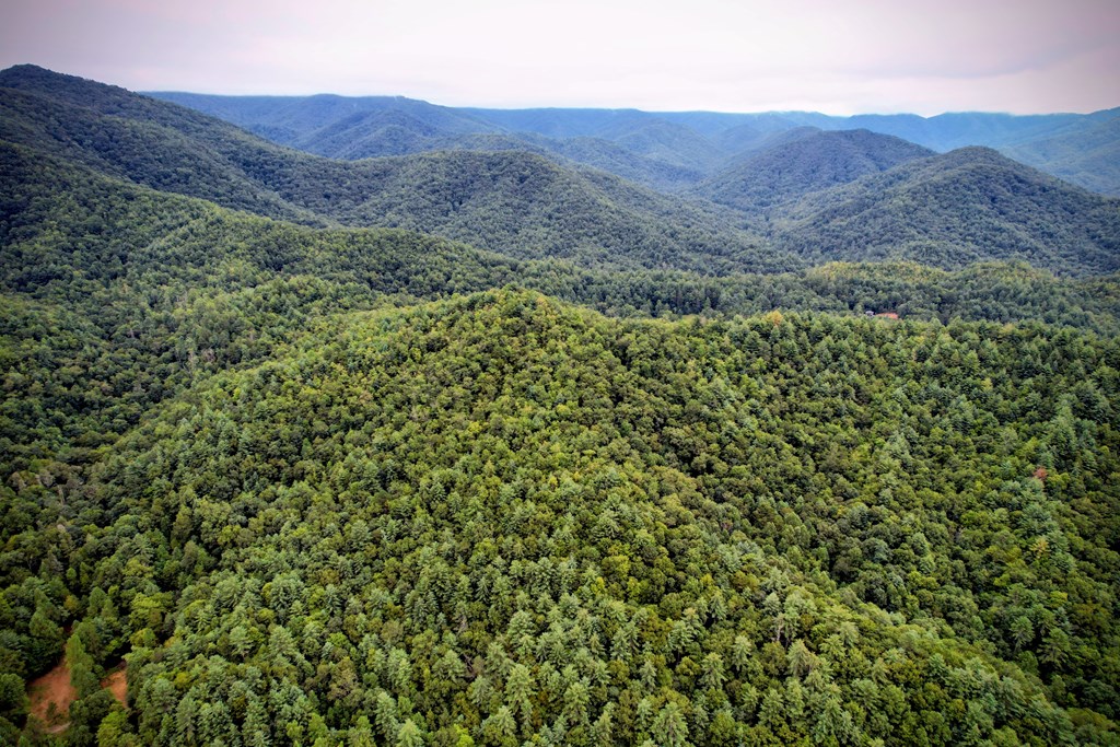 0 Flea Mountain Road Property Photo 47