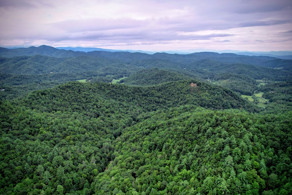 0 Flea Mountain Road Property Photo 48