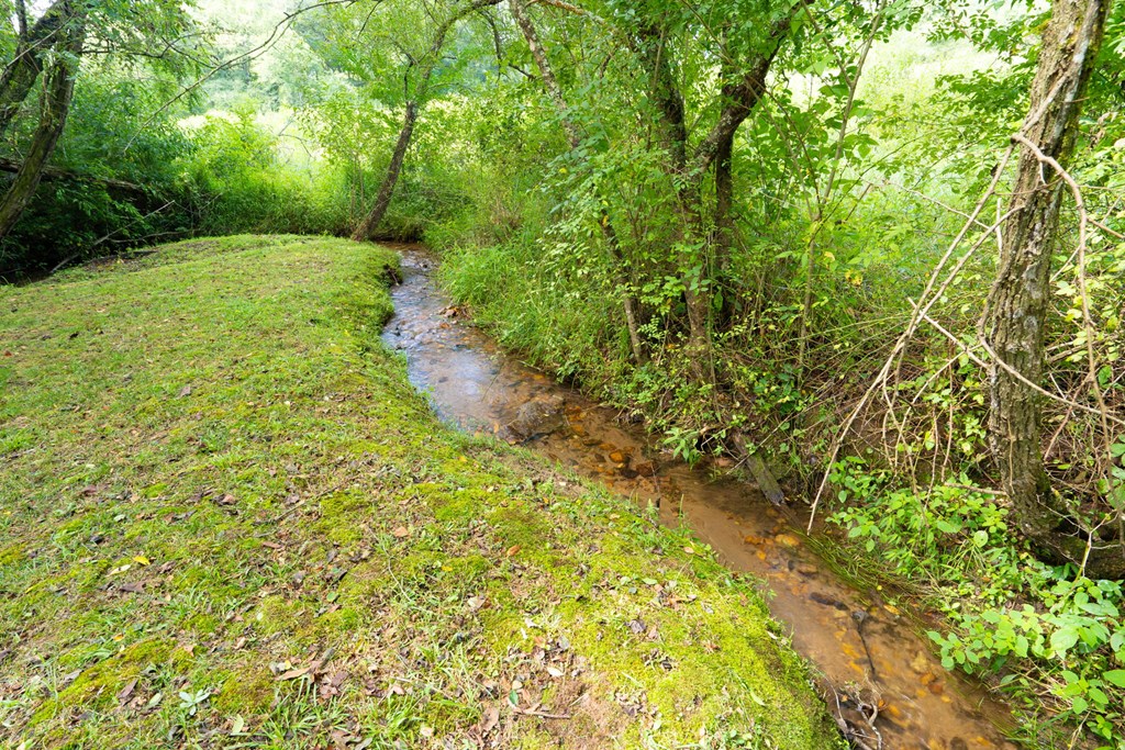 55 Chatuge Hills Drive Property Photo 60