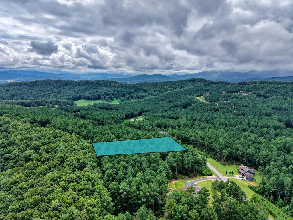 Lot 169 Thirteen Hundred Property Photo 2
