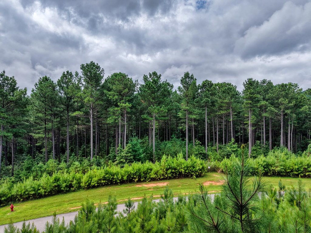 Lot 169 Thirteen Hundred Property Photo 3