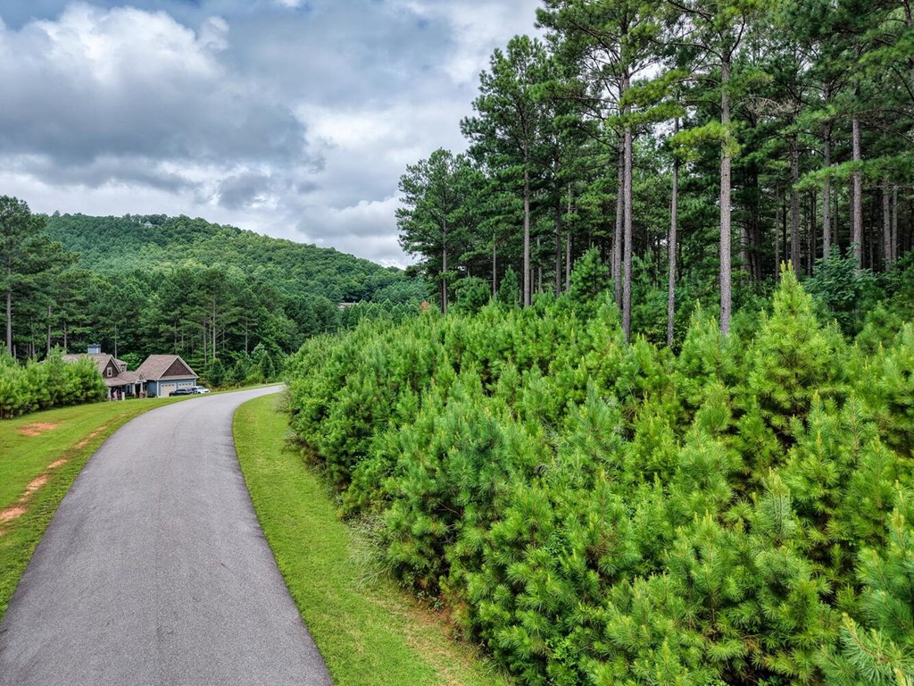 Lot 169 Thirteen Hundred Property Photo 5