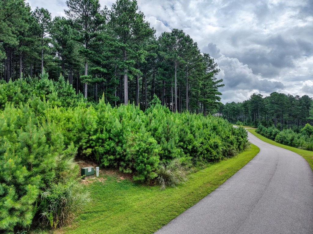 Lot 169 Thirteen Hundred Property Photo 7