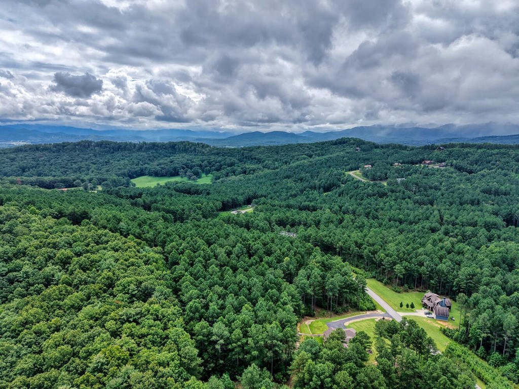 Lot 169 Thirteen Hundred Property Photo 10