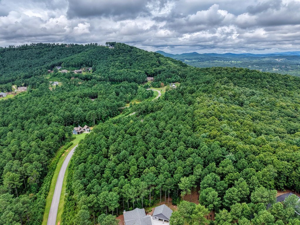 Lot 169 Thirteen Hundred Property Photo 13