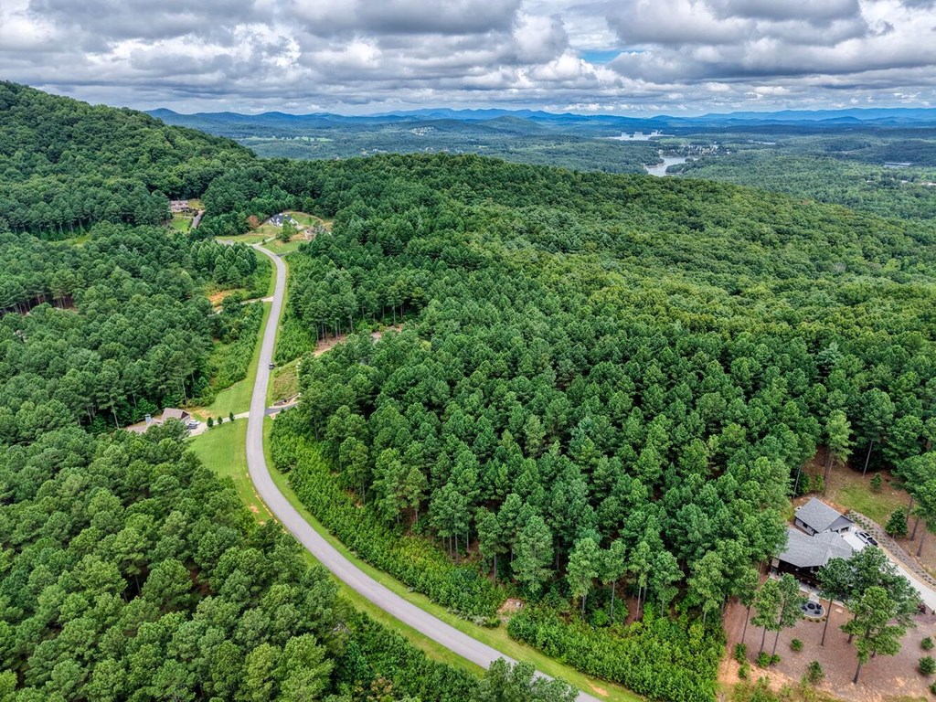 Lot 169 Thirteen Hundred Property Photo 14