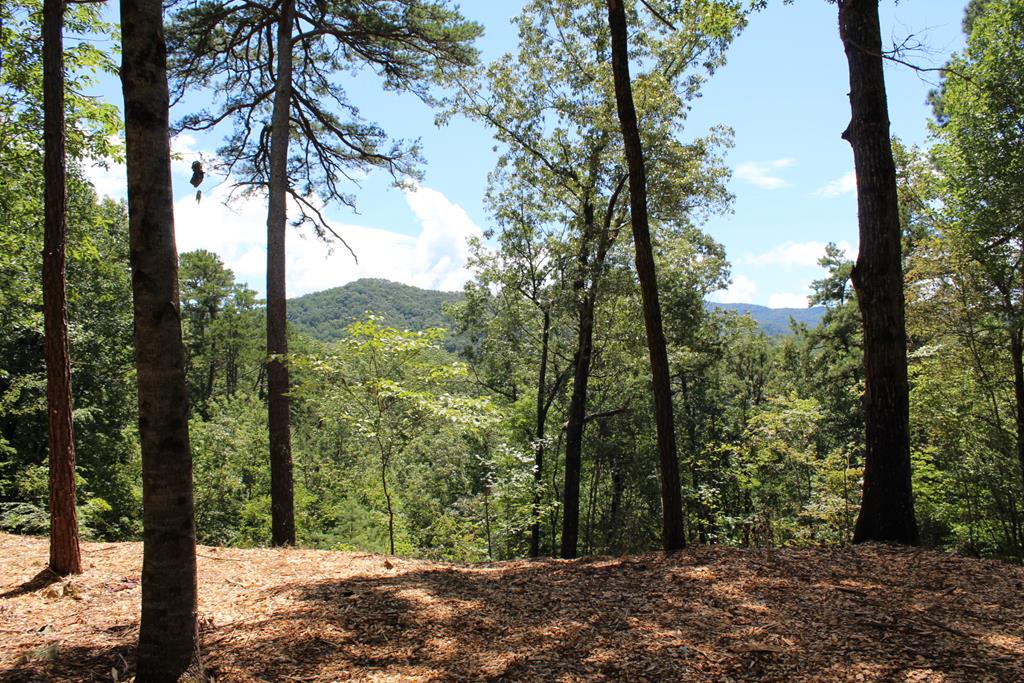 Lot 5j Eagle Fork Trail Property Photo 1