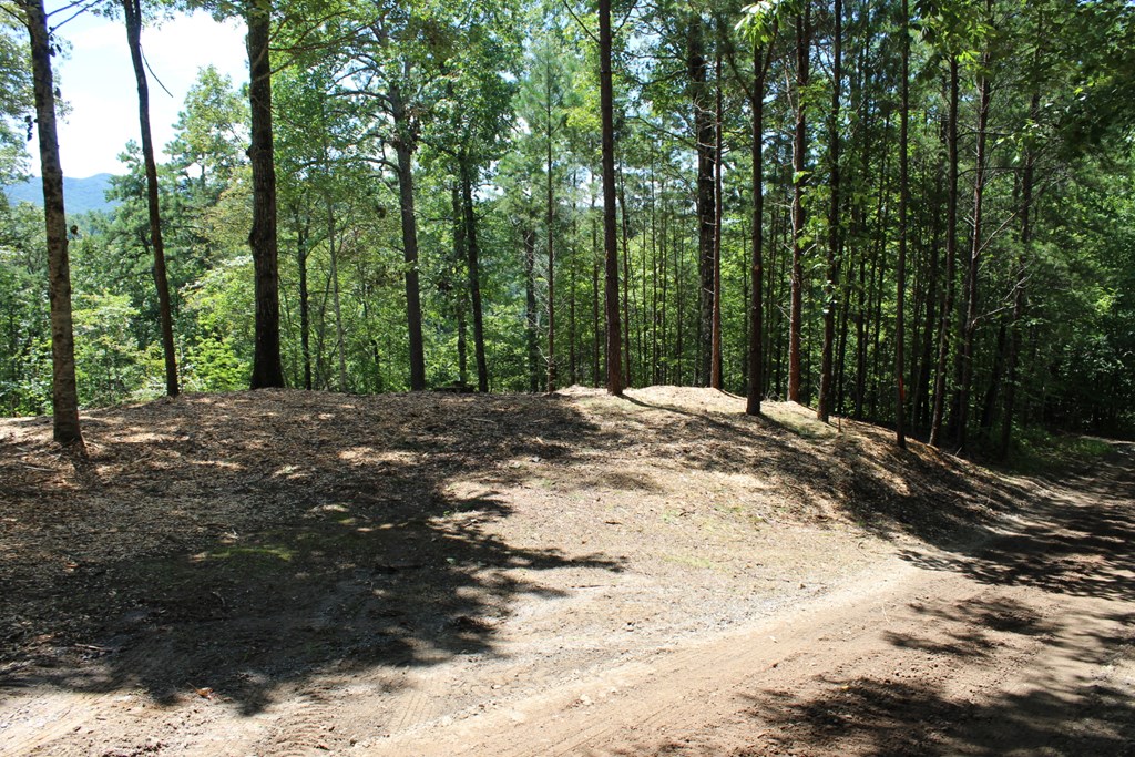 Lot 5j Eagle Fork Trail Property Photo 4