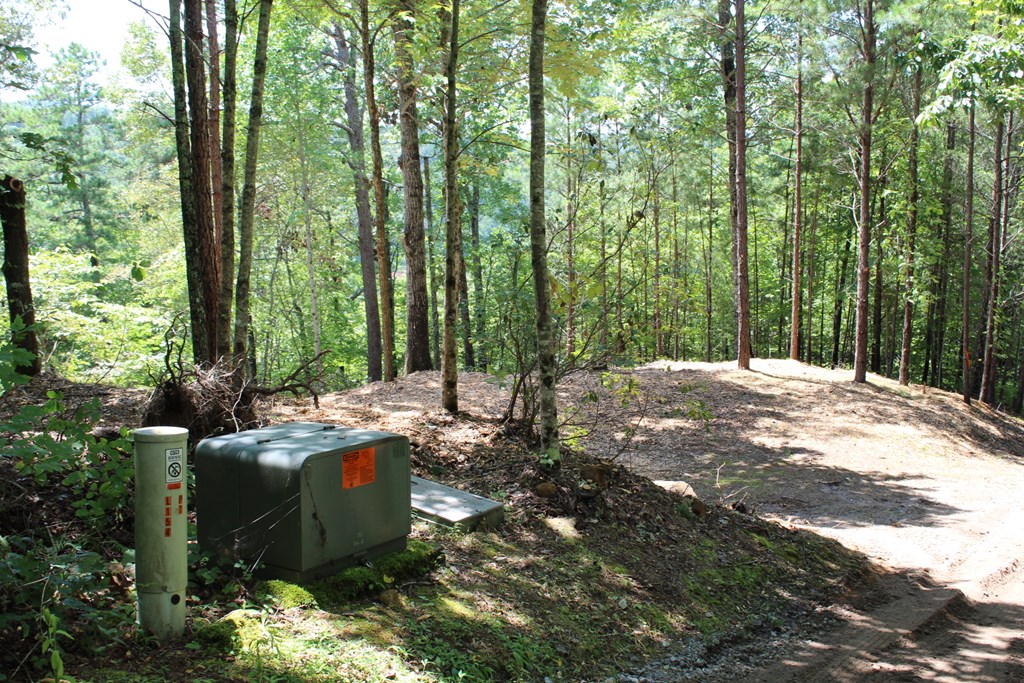 Lot 5j Eagle Fork Trail Property Photo 5