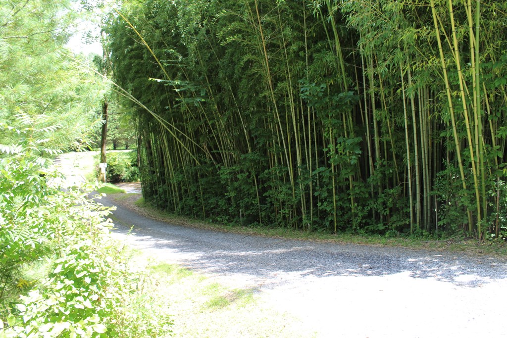 Lot 5j Eagle Fork Trail Property Photo 6