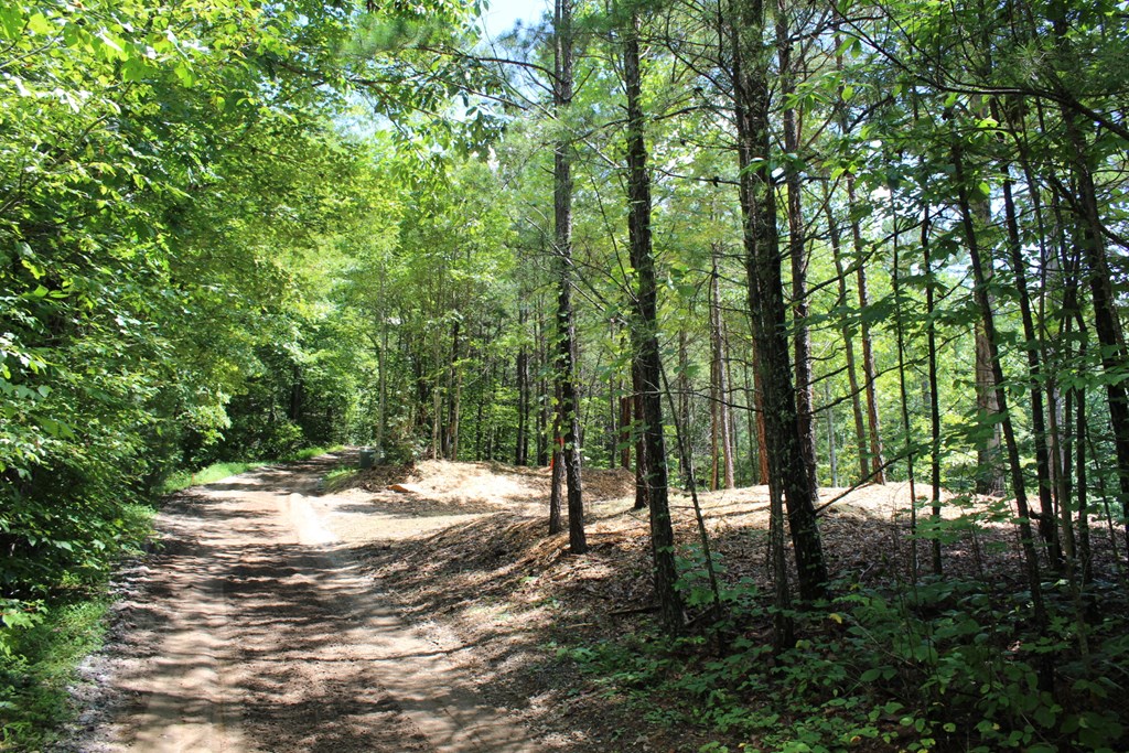 Lot 5j Eagle Fork Trail Property Photo 7