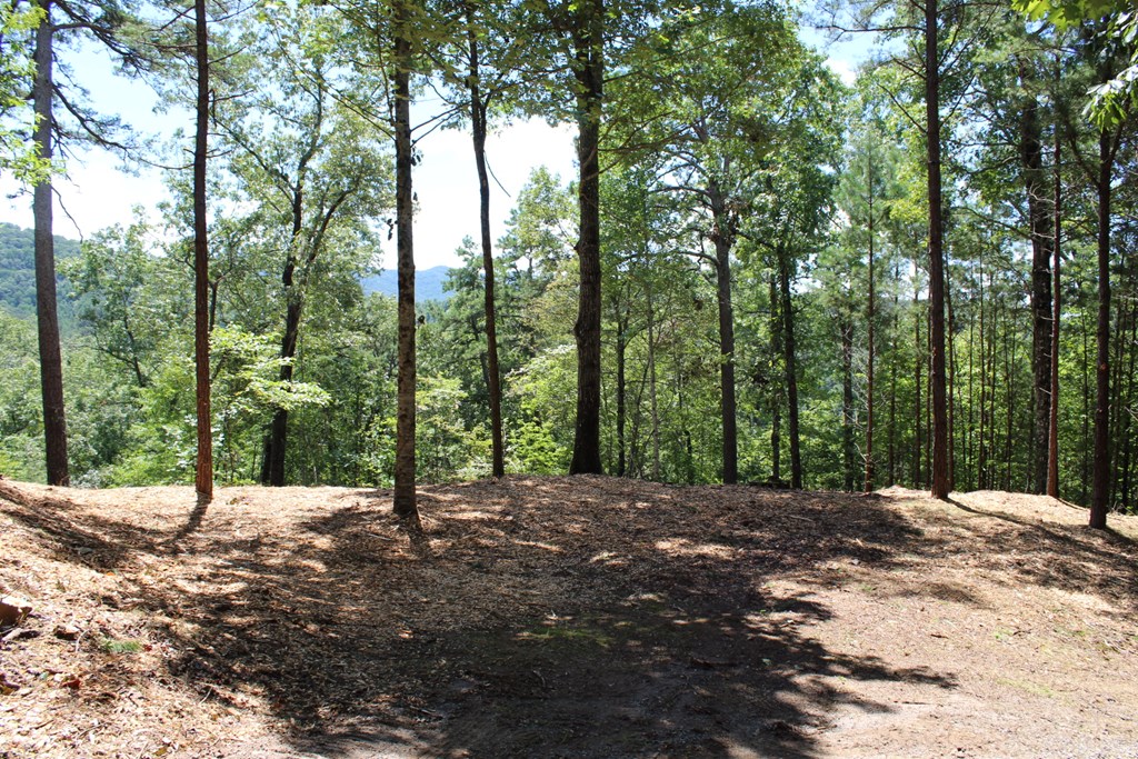 Lot 5j Eagle Fork Trail Property Photo 8
