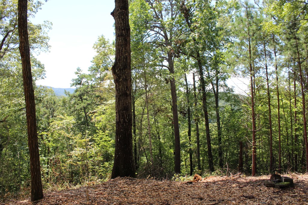 Lot 5j Eagle Fork Trail Property Photo 9