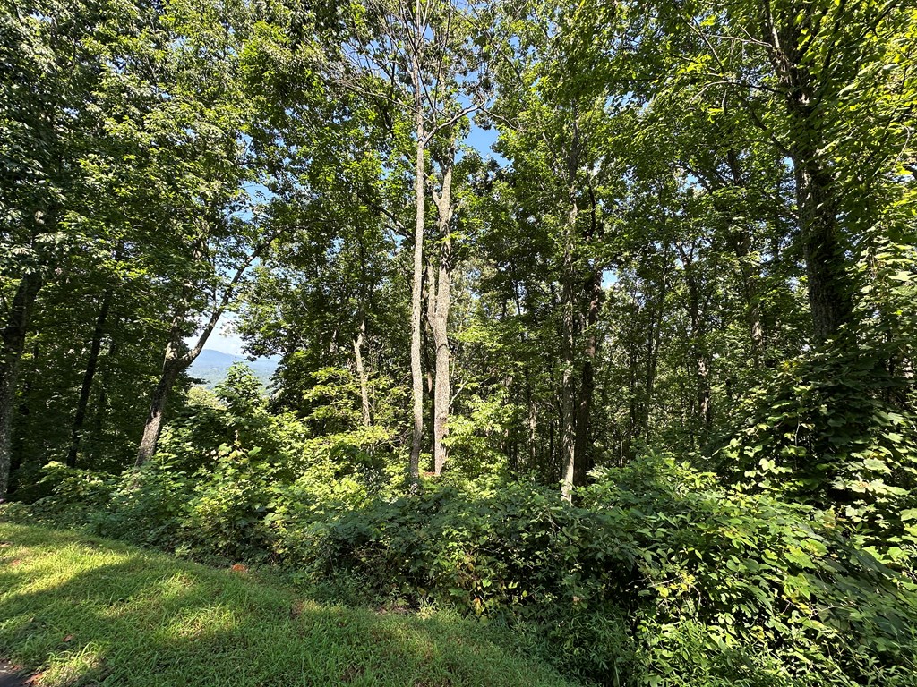 Lt 64/65 Rocky Knob Estates Property Photo 6