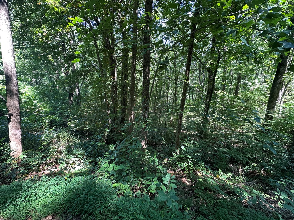 Lt 64/65 Rocky Knob Estates Property Photo 7