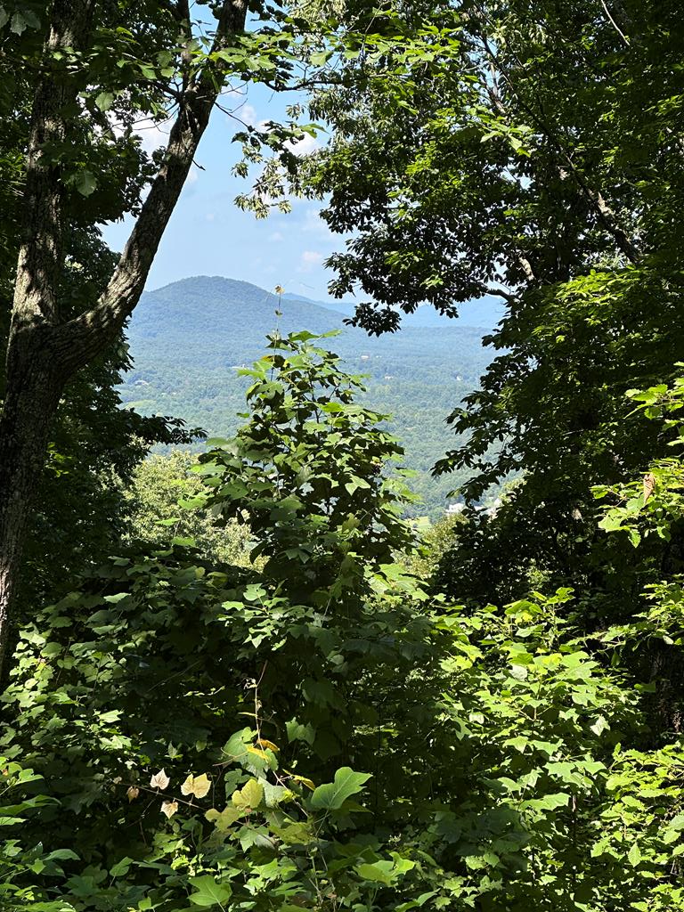 Lt 64/65 Rocky Knob Estates Property Photo 9