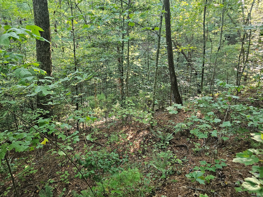 0 Bates Drive Property Photo 5
