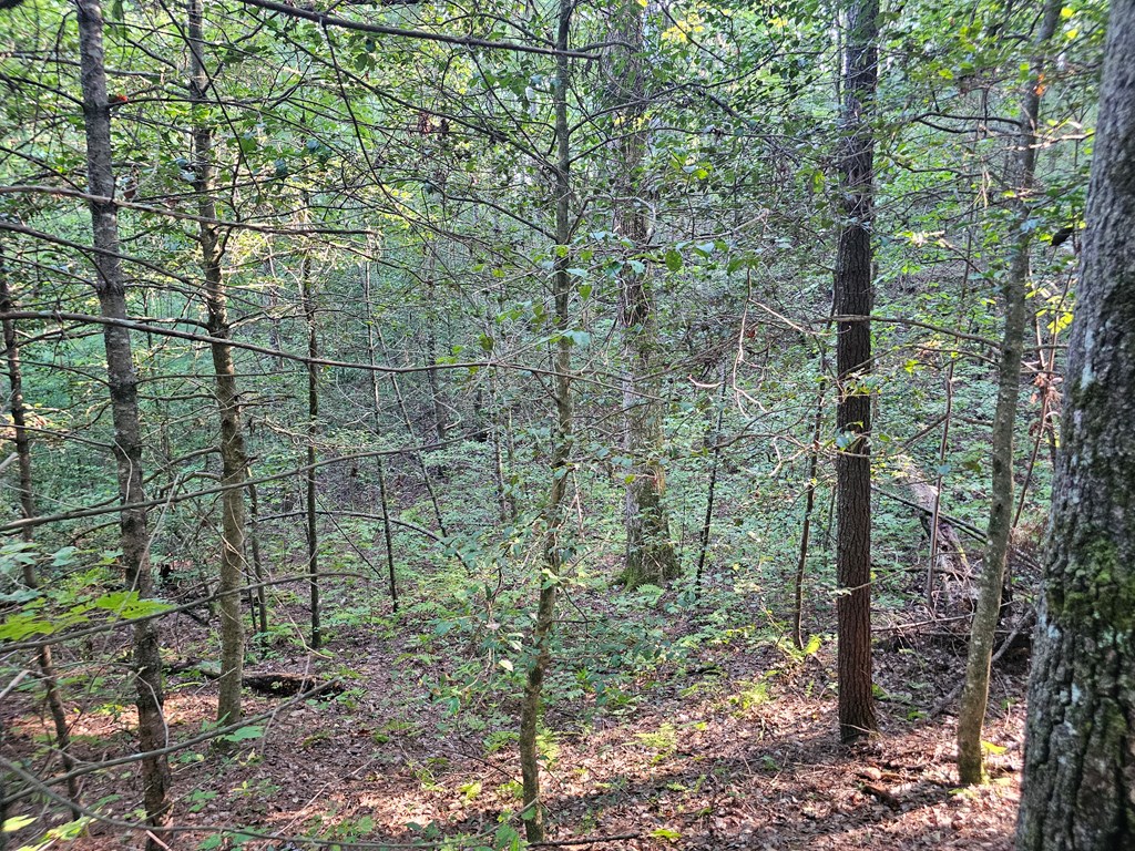 0 Bates Drive Property Photo 13