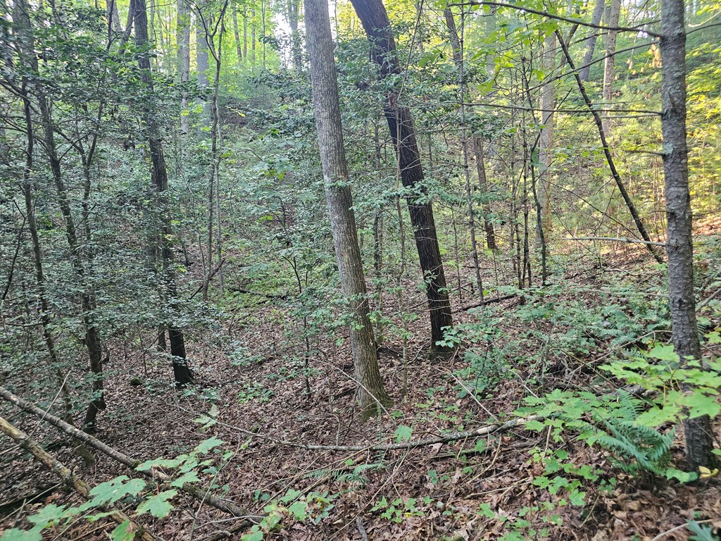 0 Bates Drive Property Photo 16