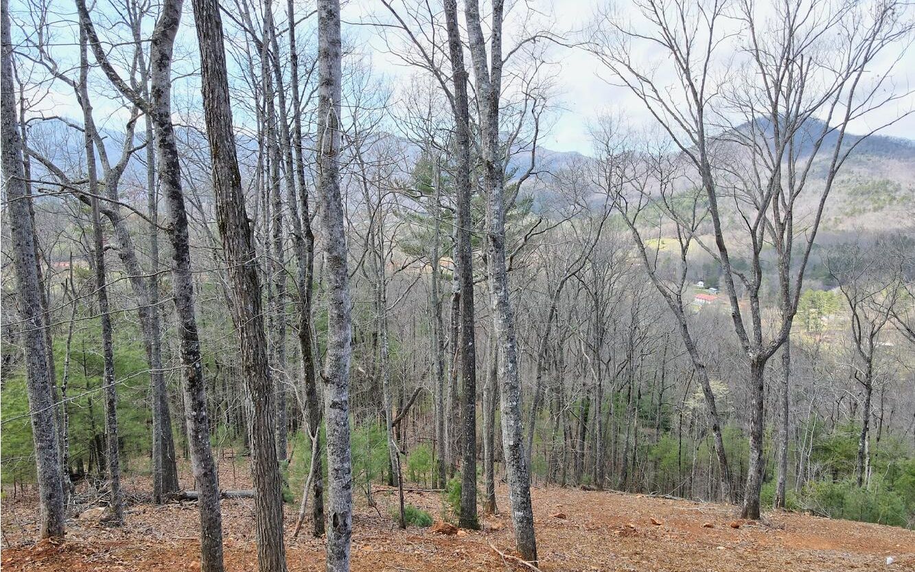 Lt17 Mill Ridge Road Property Photo 12