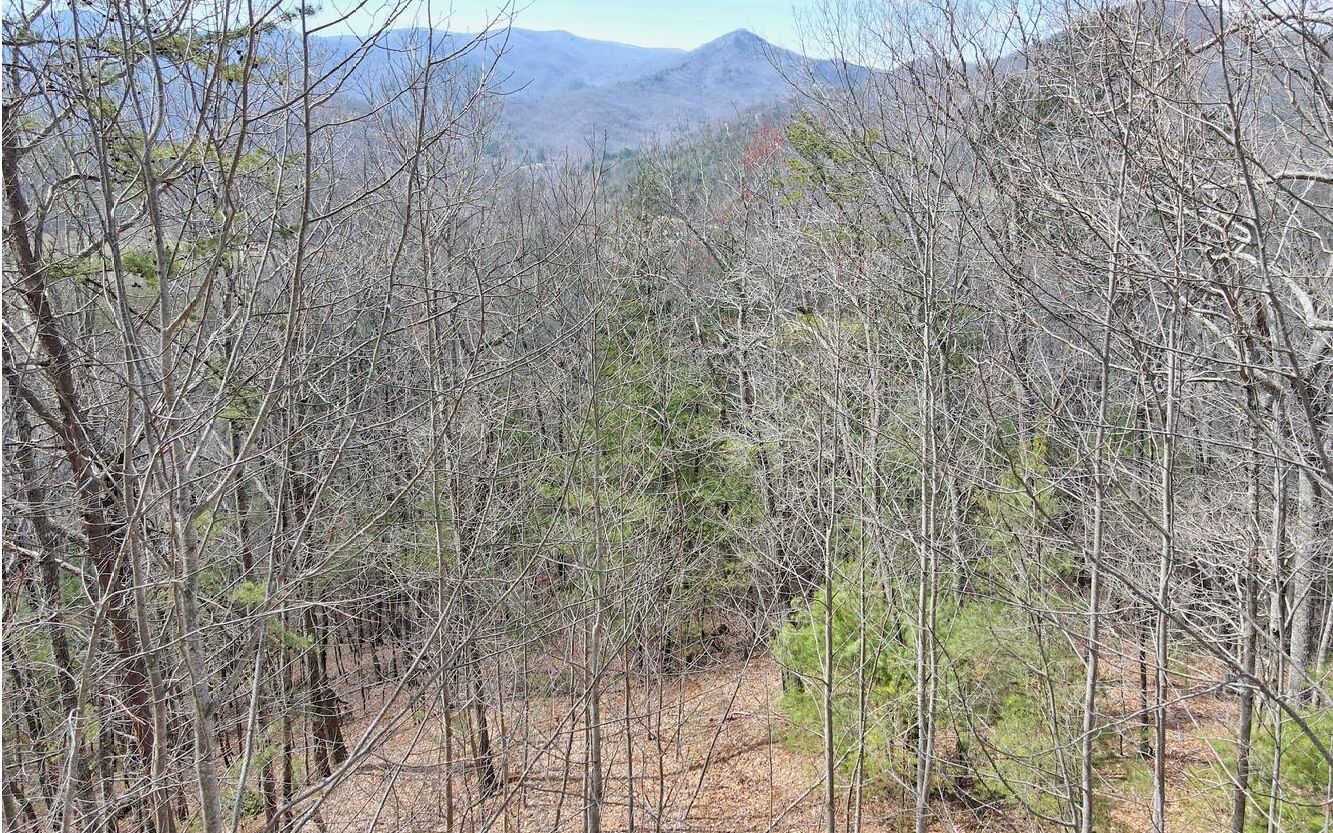 Lt17 Mill Ridge Road Property Photo 14