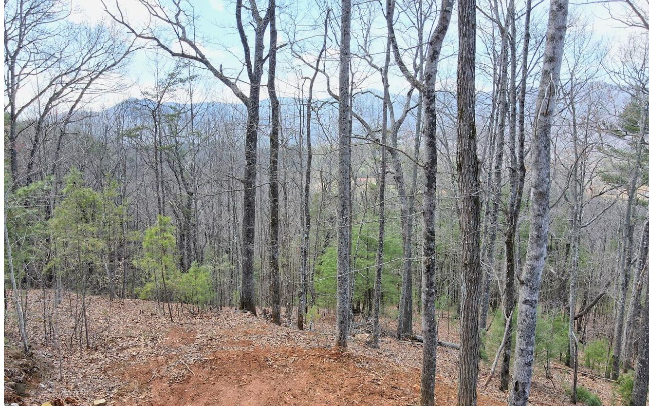 Lt17 Mill Ridge Road Property Photo 20