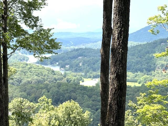 19 Buckhead Hills Property Photo 3