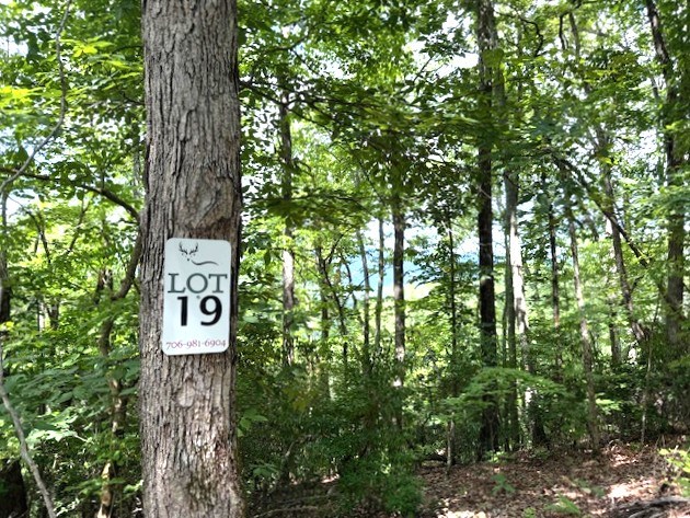 19 Buckhead Hills Property Photo 4