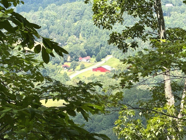 19 Buckhead Hills Property Photo 8