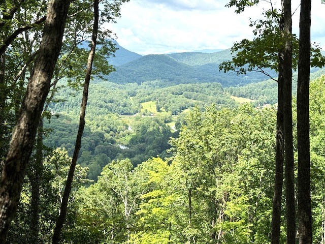 19 Buckhead Hills Property Photo 10