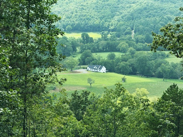 19 Buckhead Hills Property Photo 12