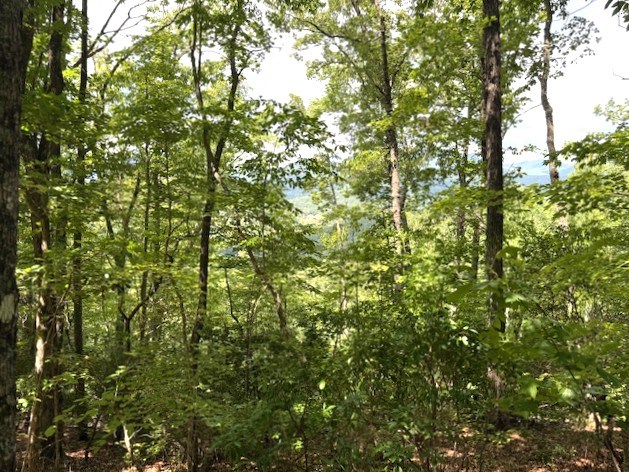19 Buckhead Hills Property Photo 14