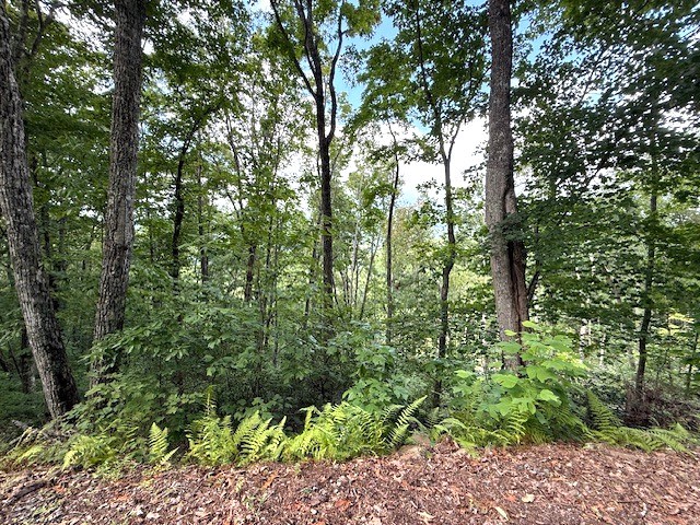 19 Buckhead Hills Property Photo 15