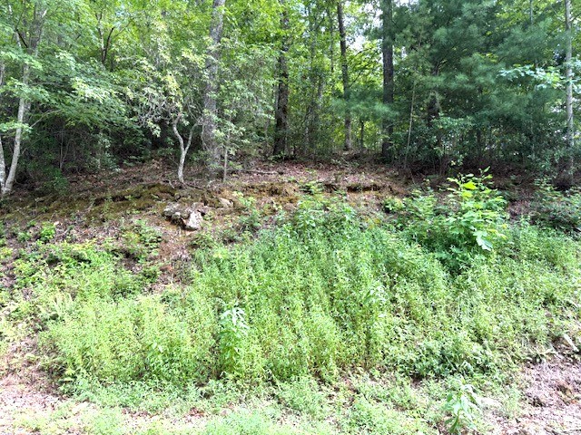 19 Buckhead Hills Property Photo 16