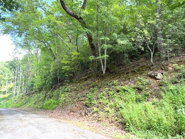 19 Buckhead Hills Property Photo 17