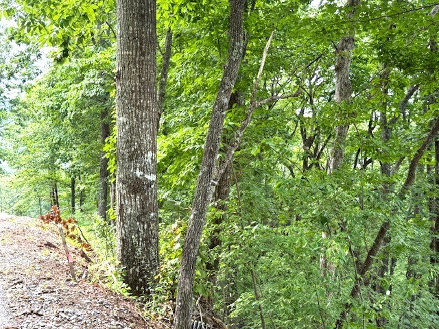 19 Buckhead Hills Property Photo 18