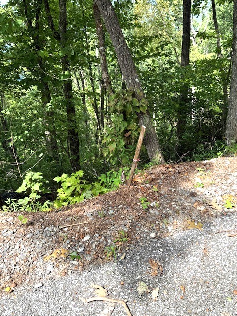 19 Buckhead Hills Property Photo 19