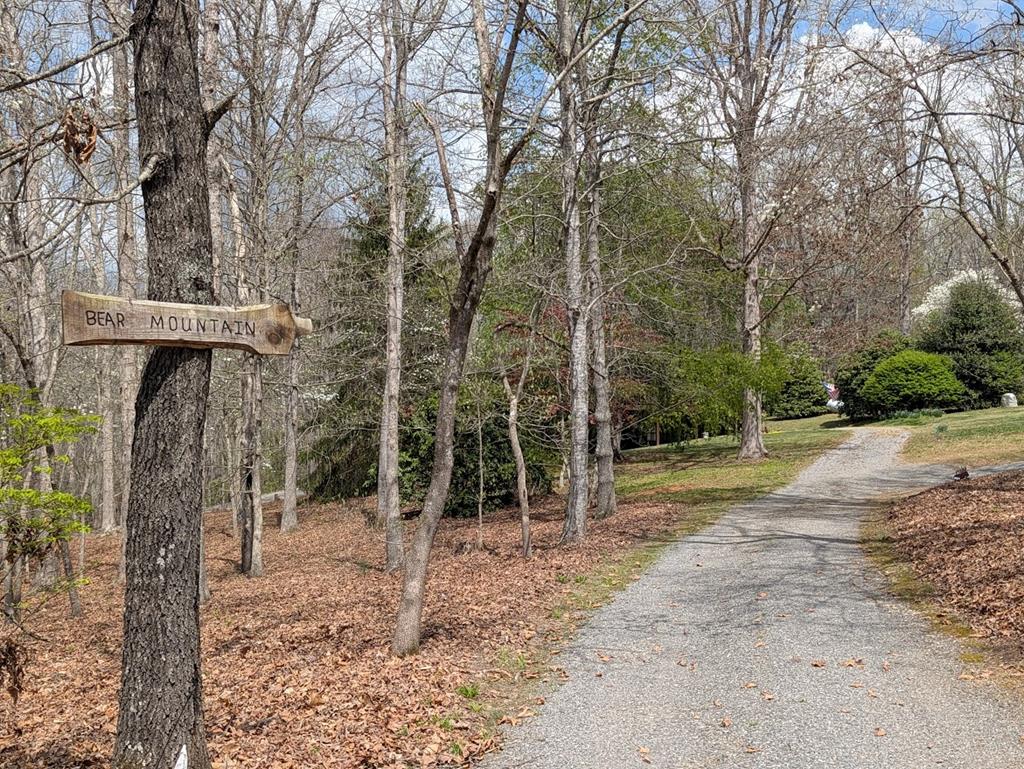 223 Mountain Breezes Drive Property Photo 3