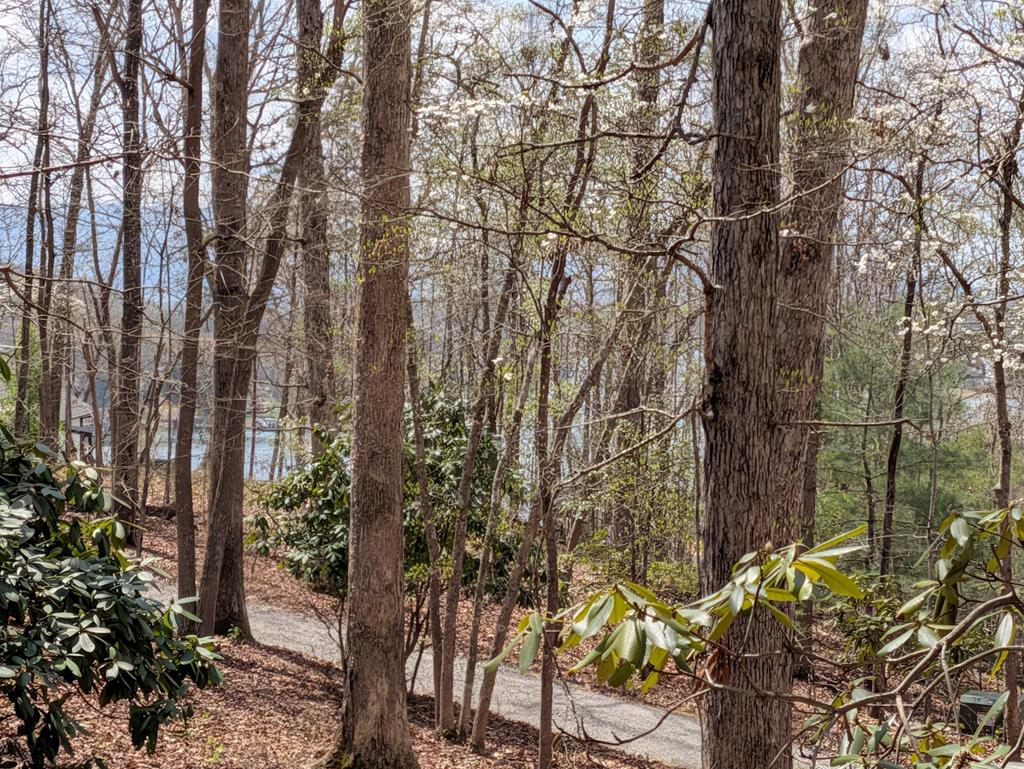 223 Mountain Breezes Drive Property Photo 4
