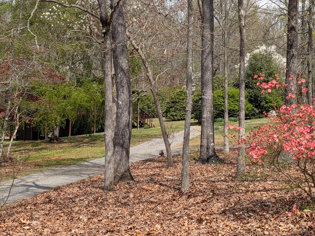 223 Mountain Breezes Drive Property Photo 5